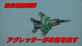 【F15】アグレッサーが本気を見せたら こういう飛び方になる 飛行教導群 / JASDF F15 AGGRESSOR Nyutabaru Air Show 2010