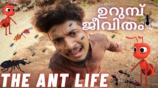 Urumbu Jeevitham - The Ant Life | Malayalam Vine | Ikru