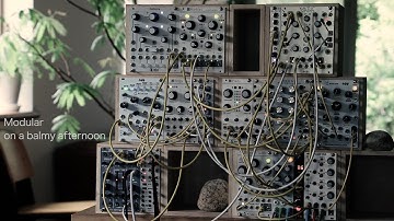 Rings + Echoz Nebulae + Tapographic Delay Ambient / Mob of Emus Beads Ensemble Oscillator