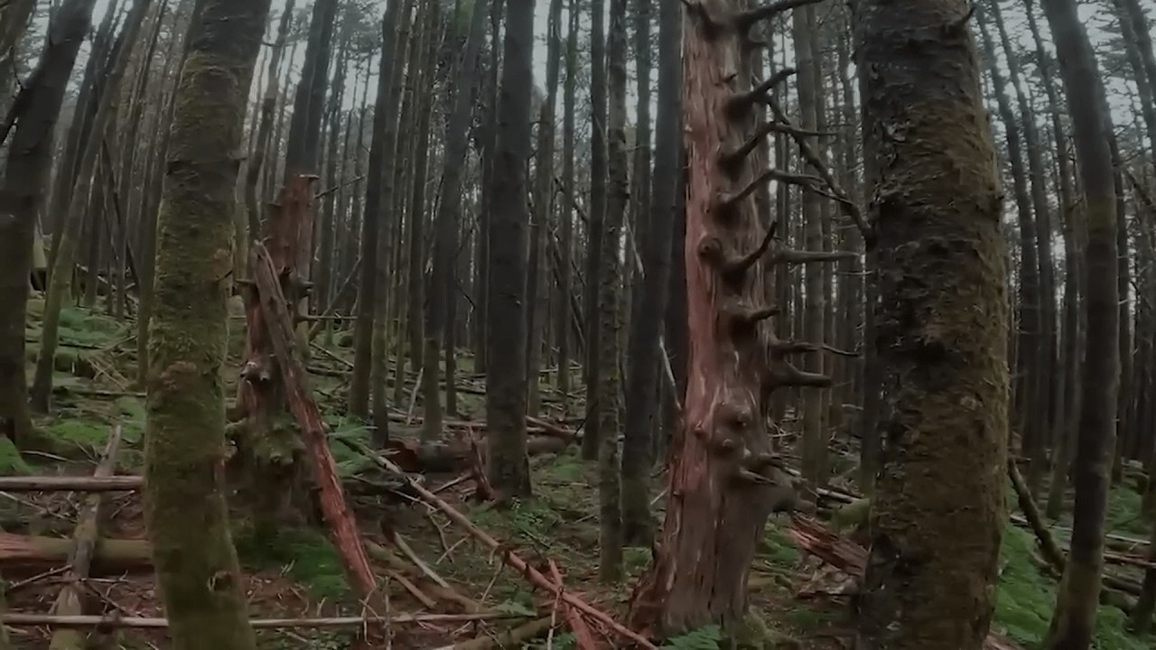 38 Verstörende Aufnahmen Von Campern (OKTOBER 2025 SUPERCUT)