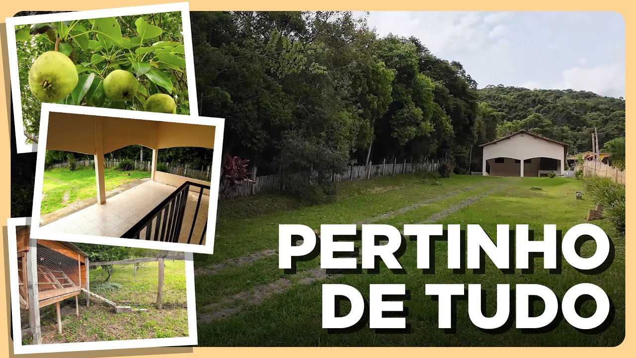 UMA ROÇA PERTÍSSIMO DE TUDO PARA MORAR OU EMPREENDER ESSA É A SUA MELHOR OPÇÃO EM DELFIM MOVEIRA, MG
