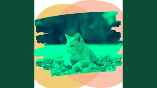 Understated - Music