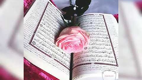 الشيخ حجاج الهنداوى 💚 سورة الشعراء 💚ابداااااااع💚