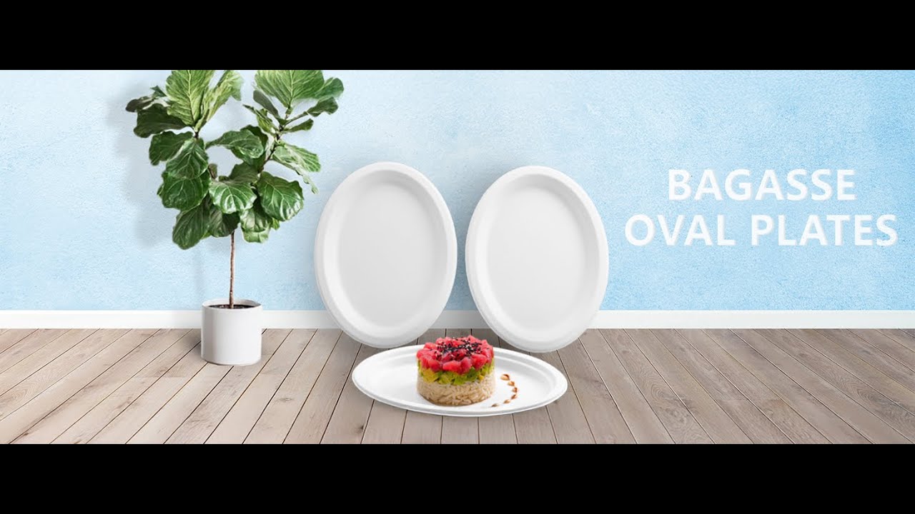 Eco-Friendly 10x12 Inch Oval Bagasse Plates - Disposable Tableware