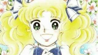 Video thumbnail of "Animetal Candy Candy Cover"