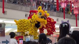 Lion Dance  in KL , 2024