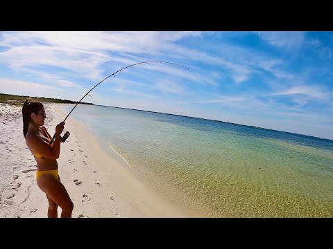 We Threw Out Our Baits & It Got Destroyed by a Beach *Giant*! Big Fish Caught!
