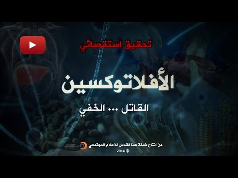 تحقيق صحفي الأفلاتوكسين القاتل الخفي
