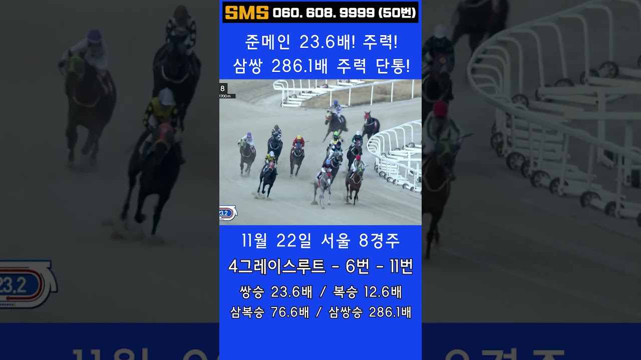 11/22(토)💣286.1배, 23.6배 주력 단통! 쌍.복.삼쌍 쇼돌이 믿어지십니까? 이런게 한구라입니다. 🐎 인기1위에 쫄지마!