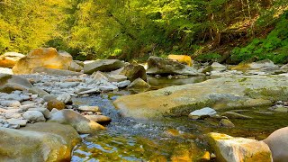 Gentle sounds of a mountain stream. 12 hours in 4K for relaxation, study, sleep. by Звуки и музыка для релаксации 1,888 views 8 months ago 12 hours