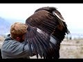 The WORST lie about eagles ever told!