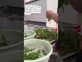بی تاب هست برای فاطمه #سندروم #زیبایی_درون