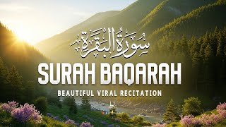 Surah Al Baqarah (سورة البقره) | Morning Quran Recitation for Rizq Barakah & Peaceful Start screenshot 2