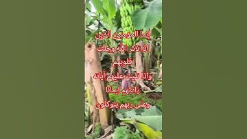 تلاوة خاشعة تريح الأعصاب للشيخ القارئ عبد الباسط عبد الصمد #المؤمنون#quran#fyp #gaz #foryou