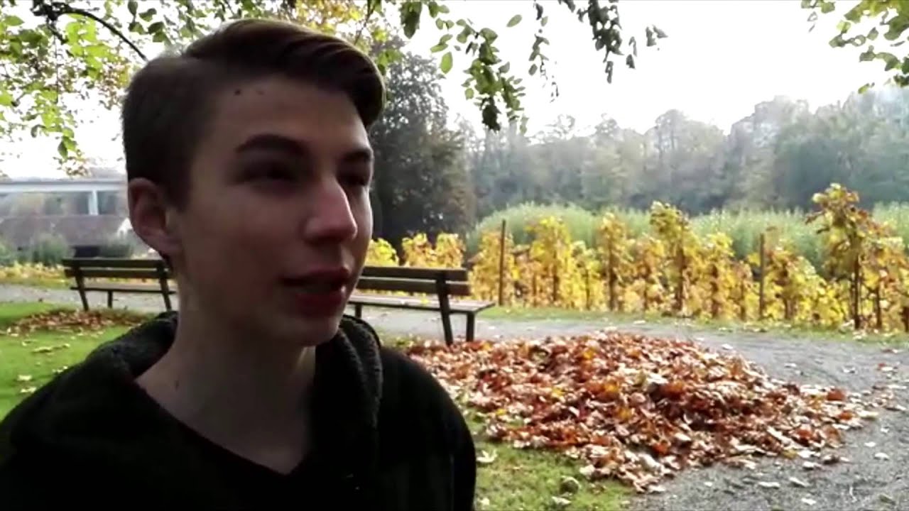 Der Volksfeind - Video von Oliver Joshua Emanuel