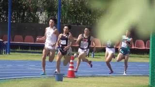280807 NSSUオープン 800m9組 藤井1分53秒43