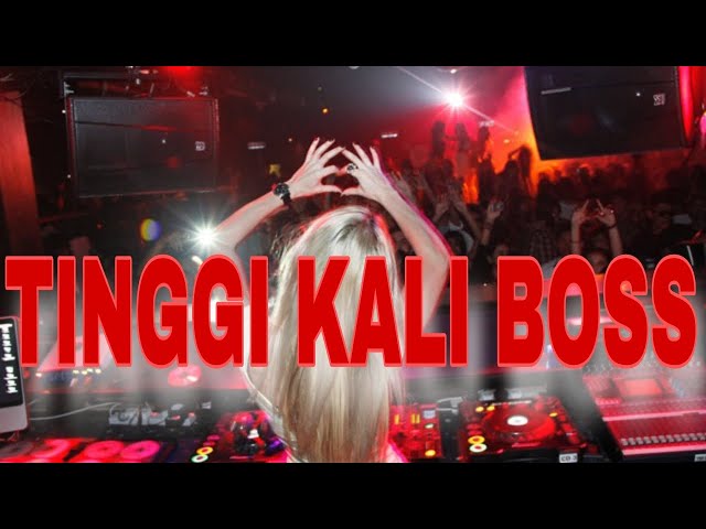 TINGGI KALI BOSS !! DJ JUNGLE DUTCH TERBARU 2024 FULL BASS BETON SUPER KENCANG class=