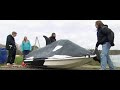 Colin furze and tom scotts remote whale