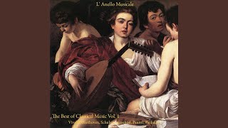 Concerto for Violin, Strings and Continuo in G Minor, No. 2, Op. 8, RV 315, "Summer": III. Presto - Orchestra L'Anello Musicale & Antonio Vivaldi