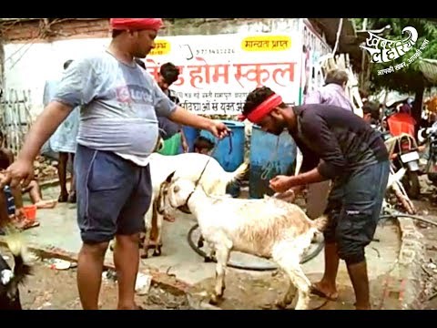 वाराणसी की बकरा मंडी में सबसे महंगा बिका बकरा | EidAlAdha | Khabar Lahariya