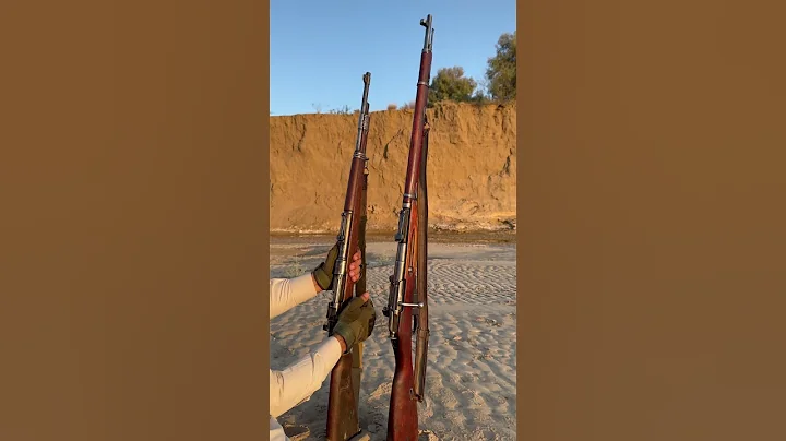 Kar98 vs Mosin-Nagnat#shorts #feed