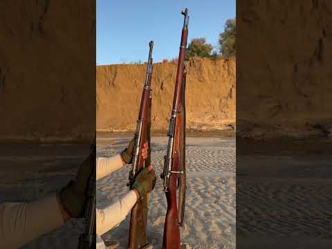 Kar98 vs Mosin-Nagnat#shorts #feed