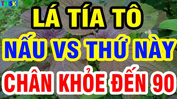 Người Cao Tuổi Cứ Ăn Lá Tía Tô Theo Cách Này CỰC TỐT CHO XƯƠNG KHỚP, Ngừa Teo Cơ, CHÂN KHỎE ĐẾN 90