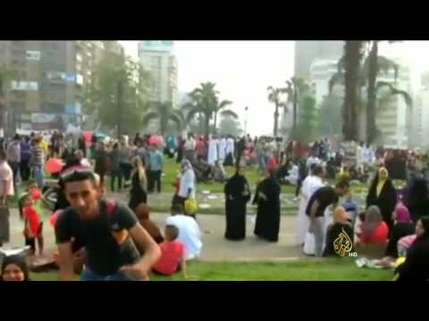 المشهد المصري 29/7/2014