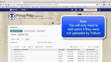 Activating and Adding a User in D2L