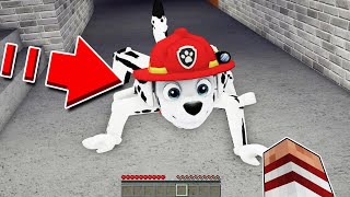 Escapamos De Marshall Paw Patrol Ciempiés Mutante