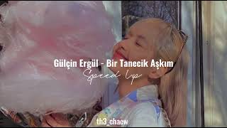 Gülçin Ergül - Bir Tanecik Aşkım (Speed Up) @pranprice Resimi