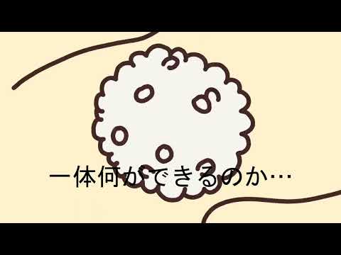 【ちいかわ】おにぎりしかない