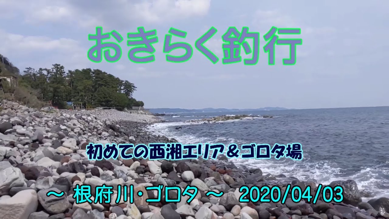 根府川 ゴロタ おきらく釣行 0403 Youtube