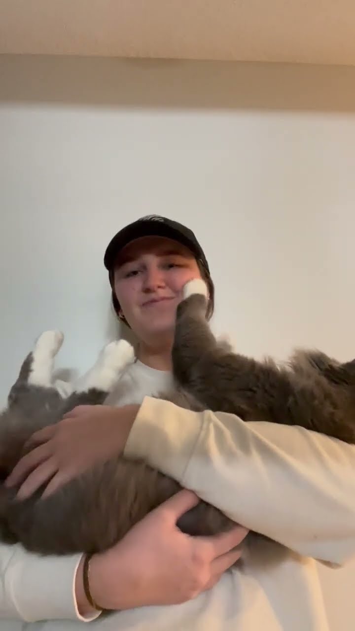 The Day I Brought Boots the Cat Home || ViralHog
