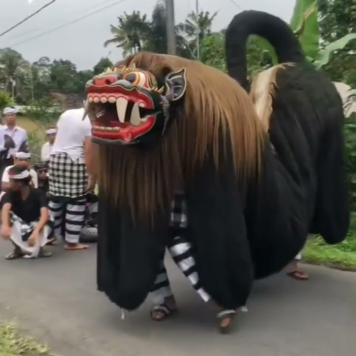 Barong terbesar