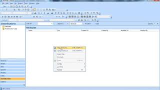 Linking Cases to Attributes in NVivo Profile