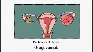 Oregovomab MoA Animation_Eng
