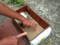 Bumble Bee Nest Boxes with Aidan - How to set up your own BB Nest box Bumble Bee Nest Boxes with Aidan - How to set up your own BB Nest box
