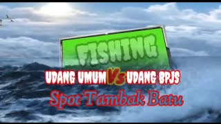 UDANG umum VS UDANG #bpjs‼️#fishing Spot Tambak Batu