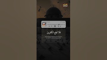 الصوت الشجي القارئ الشيخ شعبان الصياد👌