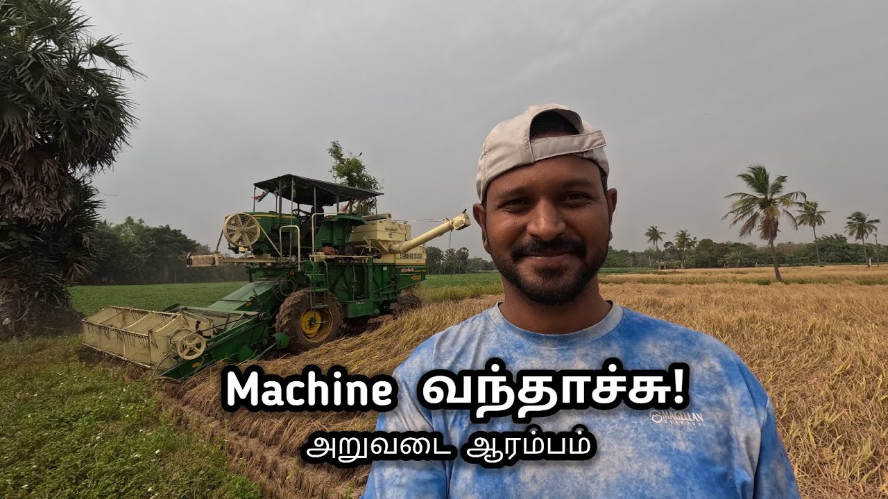 நெல் அறுவடை நாள் 🌾 Paddy Harvest Machine & Farming Tips | Village Life Tamil Vlog