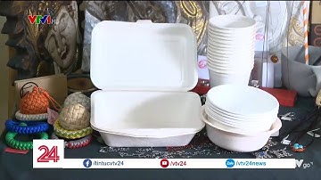 Hộp xốp làm từ bã mía thân thiện với môi trường | VTV24