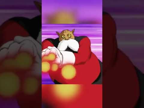 غوكو ضد توبو
