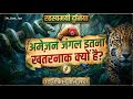 अमेज़न जंगल इतना खतरनाक क्यों है 😨।  Amazon forest documentary 🏞️। @mr_creat_fact
