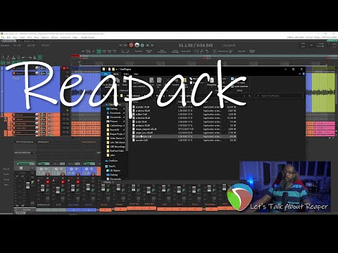 Let's Talk About Reaper - ReaPack