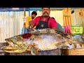 KASIMEDU 🔥 SPEED SELVAM | 19 KG BIG BROWN GROUPER FISH CUTTING VIDEO | IN KASIMEDU | FF CUTTING 🔪