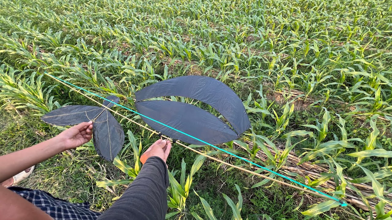 BIKIN 2 SEKALIGUS LAYANGAN MINI GAPANGAN PEGON CEPER DAN LAYANGAN SIKEP LANGSUNG DI TES TERBANG
