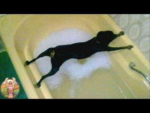 15 FAITS INSOLITES