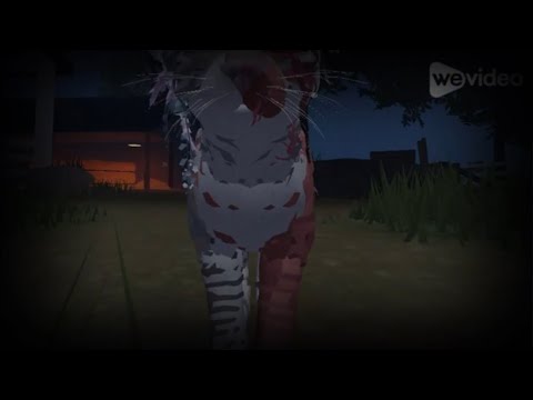 Do you blame yourself? | Canopy Falls Territory WCUE LongTerm!