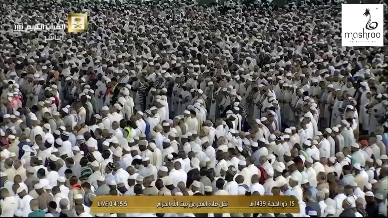 فجر الاحد 15-12-1439هـ
 للشيخ بندر بليلة

من سورتي المائدة والأنعام